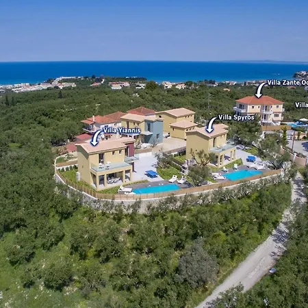Zante Odysseus By Plus *